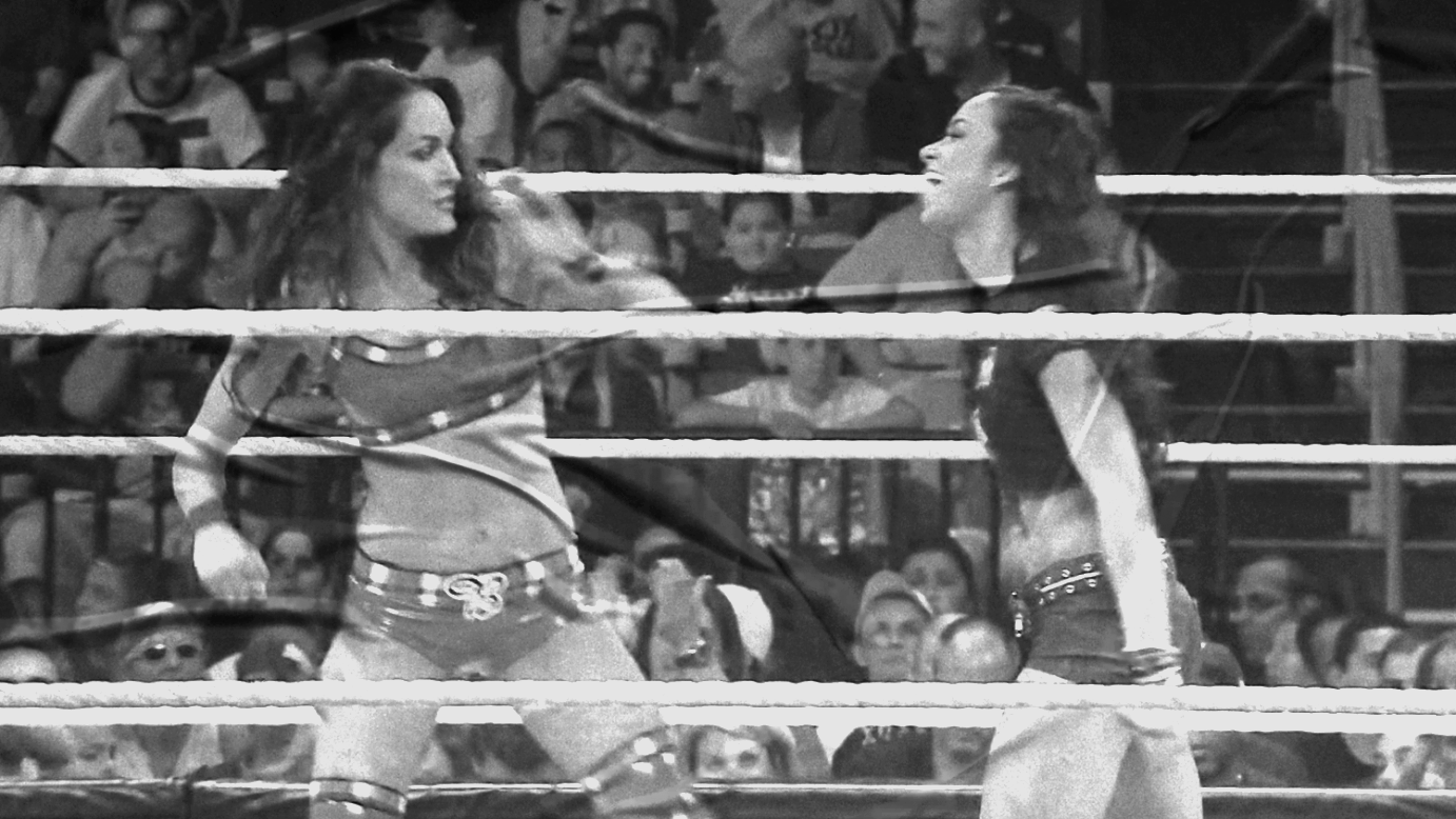 Brie Bella vs. AJ Lee
