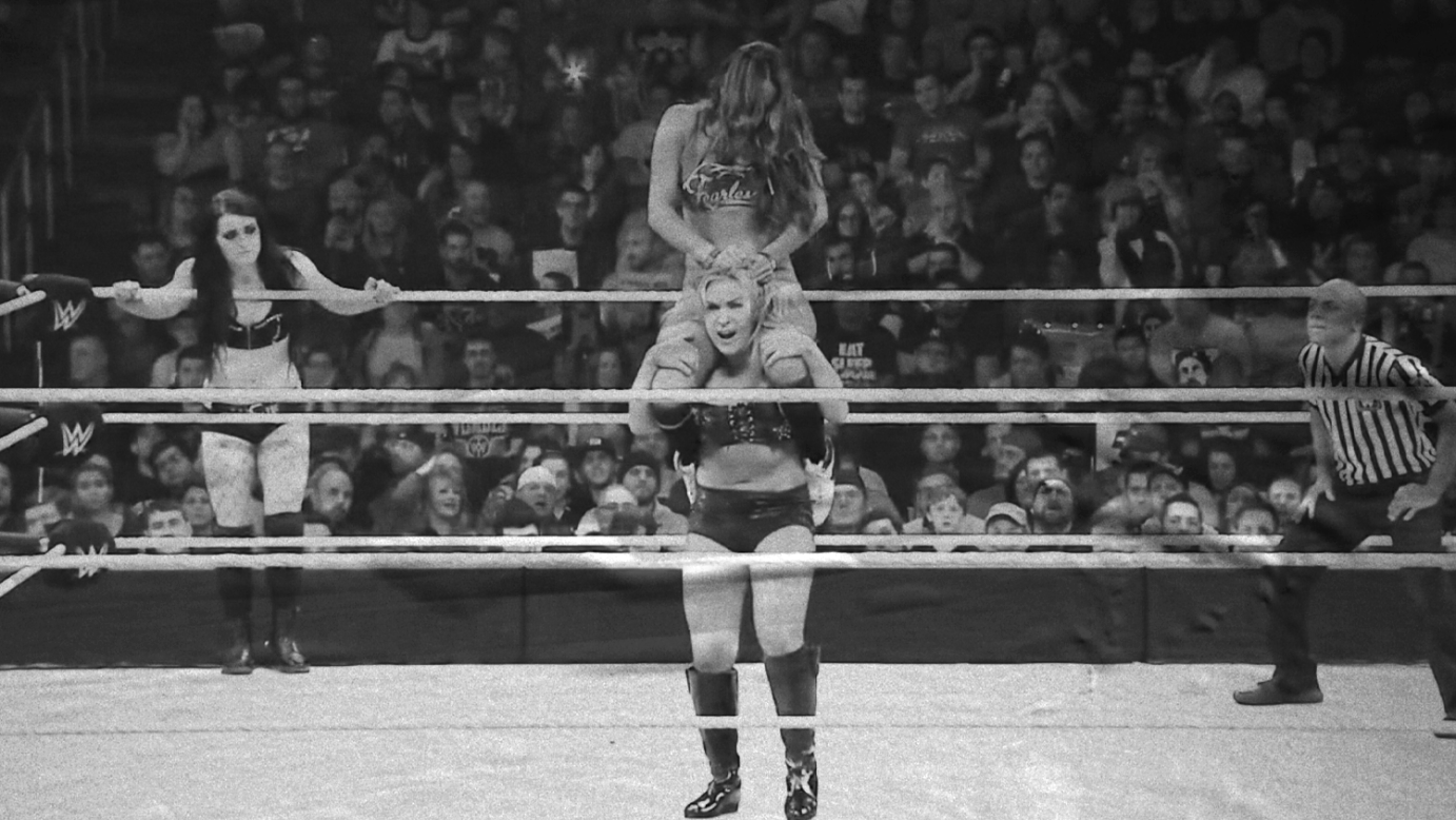 Brie Bella & Nikki Bella vs. Natalya & Paige