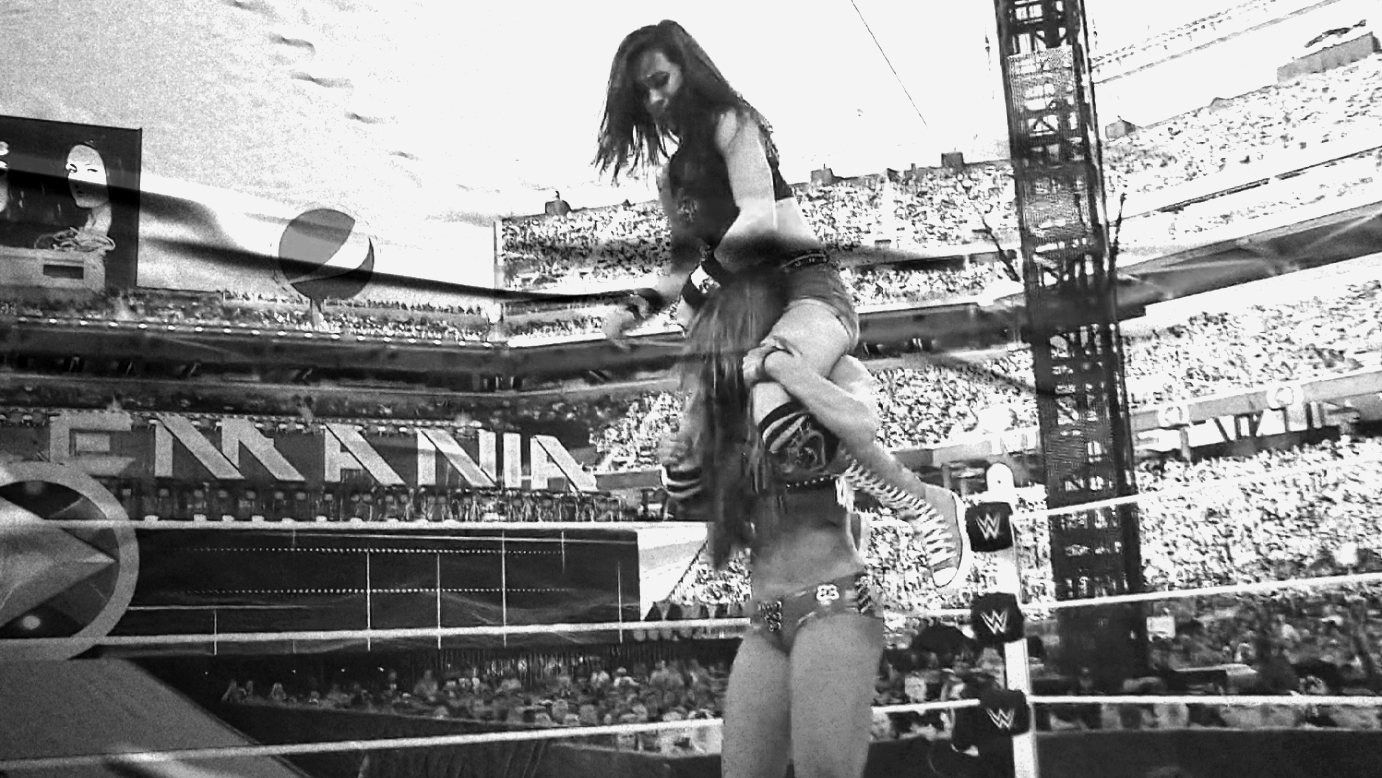 AJ Lee & Paige vs. Brie Bella & Nikki Bella