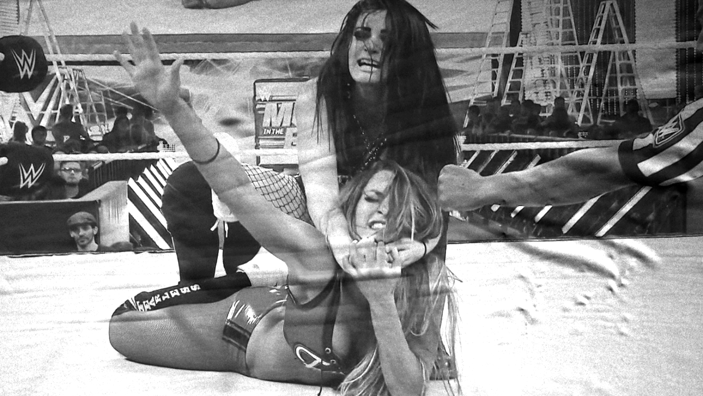 Nikki Bella vs. Paige