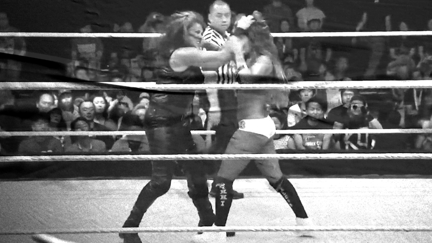 Nikki Bella vs. Paige vs. Tamina Snuka