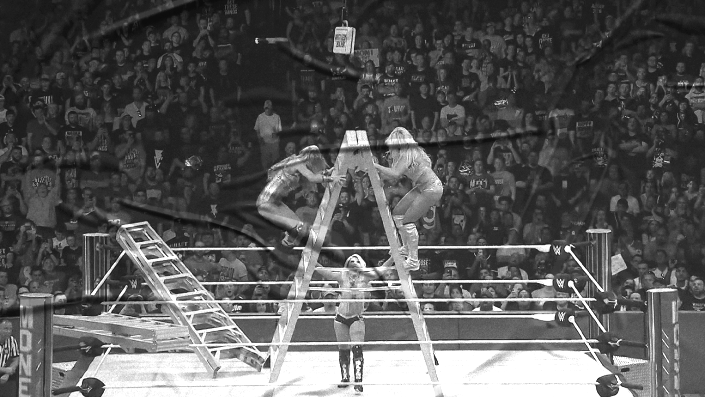 2018 Money in the Bank Ladder Match