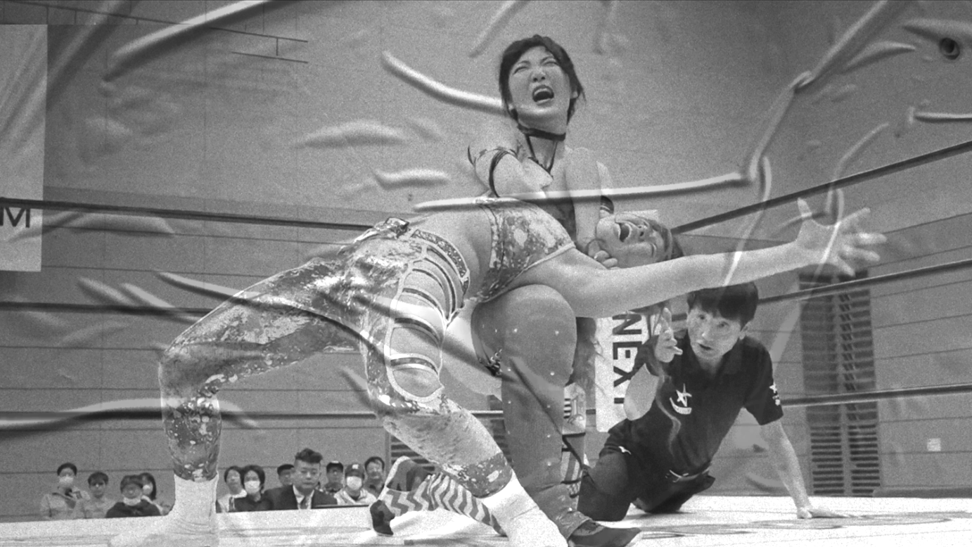 Miyu Amasaki & Lady C vs. Hazuki & Mayu Iwatani